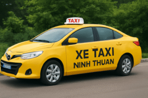 xe taxi ninh thuận